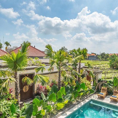 Puri Canggu Villas & Rooms Экстерьер фото